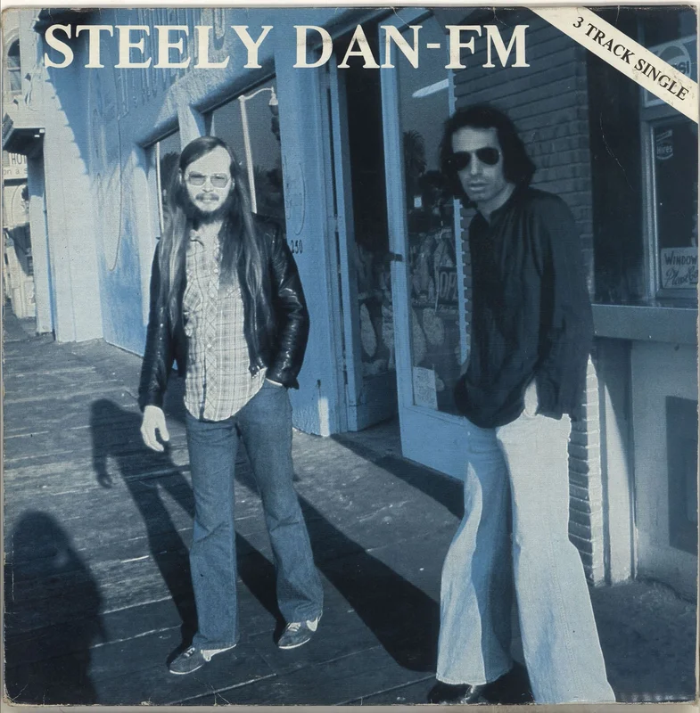 Steely Dan FM UK 12" vinyl