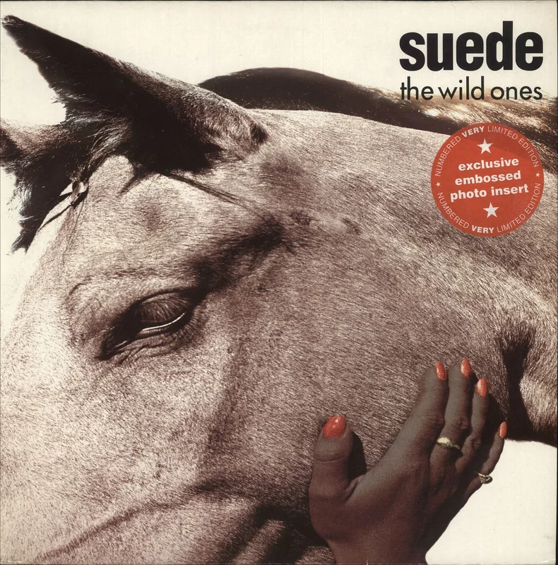 Suede The Wild Ones - EX UK 12" vinyl