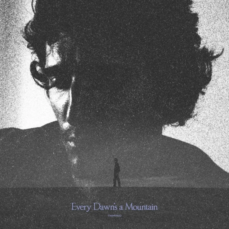 Tamino  Every Dawn's a Mountain