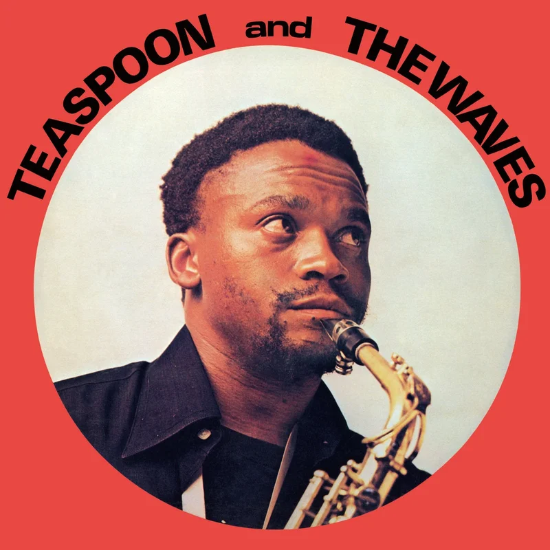 Teaspoon & The Waves  Teaspoon & The Waves