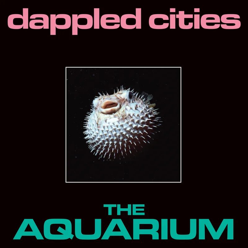 The Aquarium