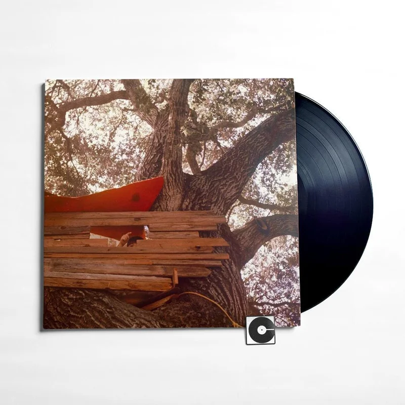 The Backseat Lovers - "Waiting To Spill" Standard Black Vinyl