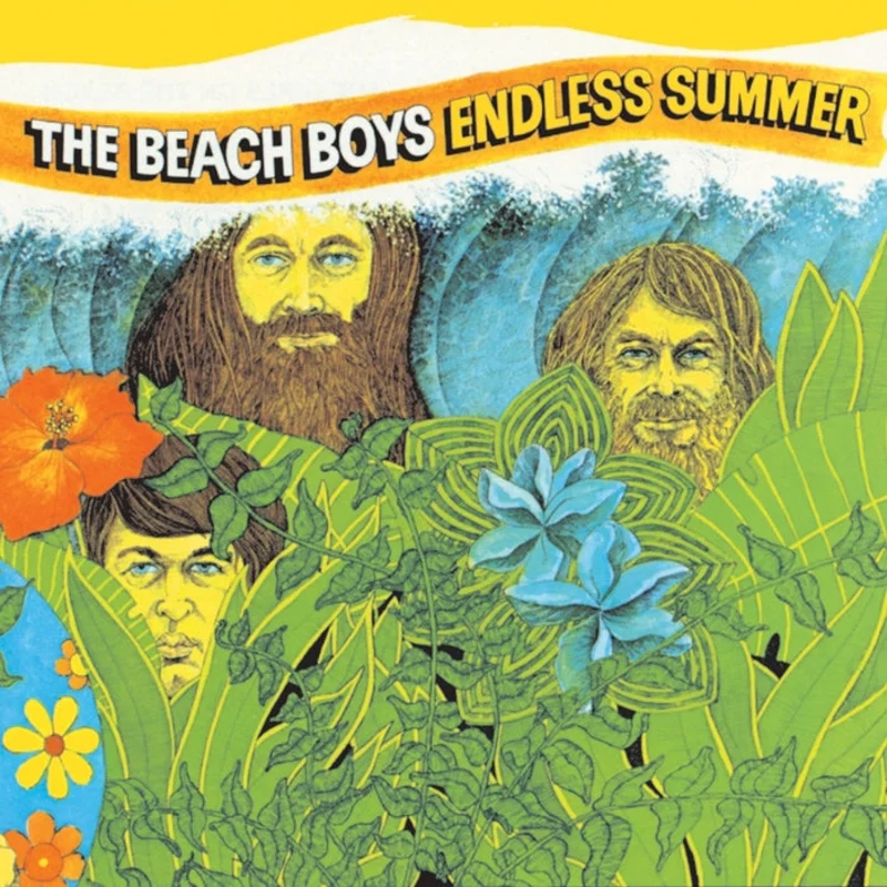 The Beach Boys Endless Summer (2xLP)