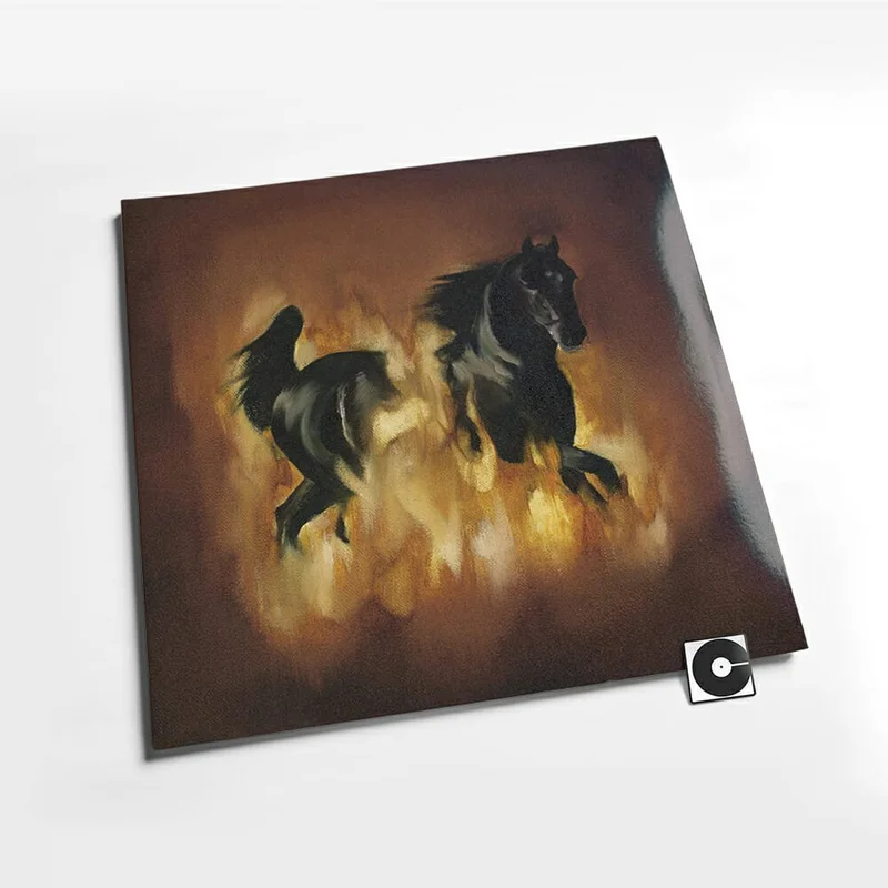 The Besnard Lakes - "The Besnard Lakes Are The Dark Horse"