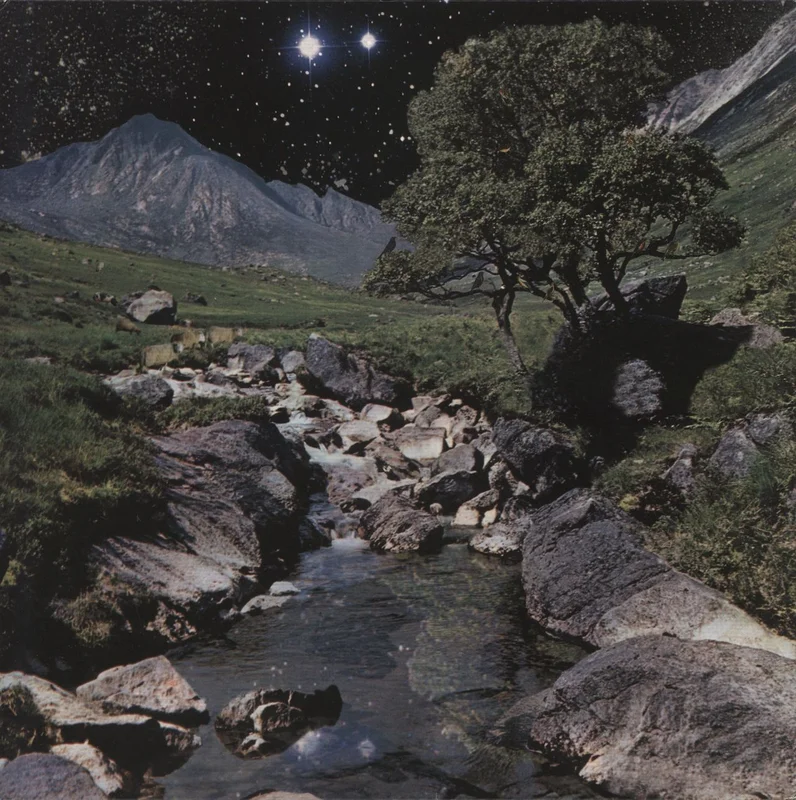 The Beta Band The Beta Band UK 2-LP vinyl set