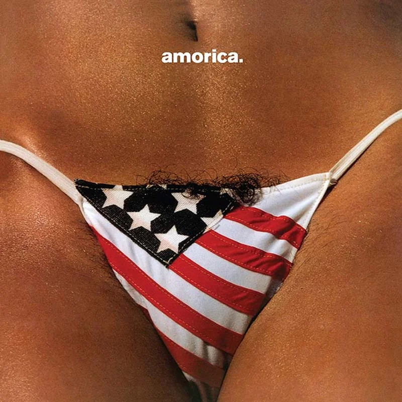 The Black Crowes Amorica (2xLP)