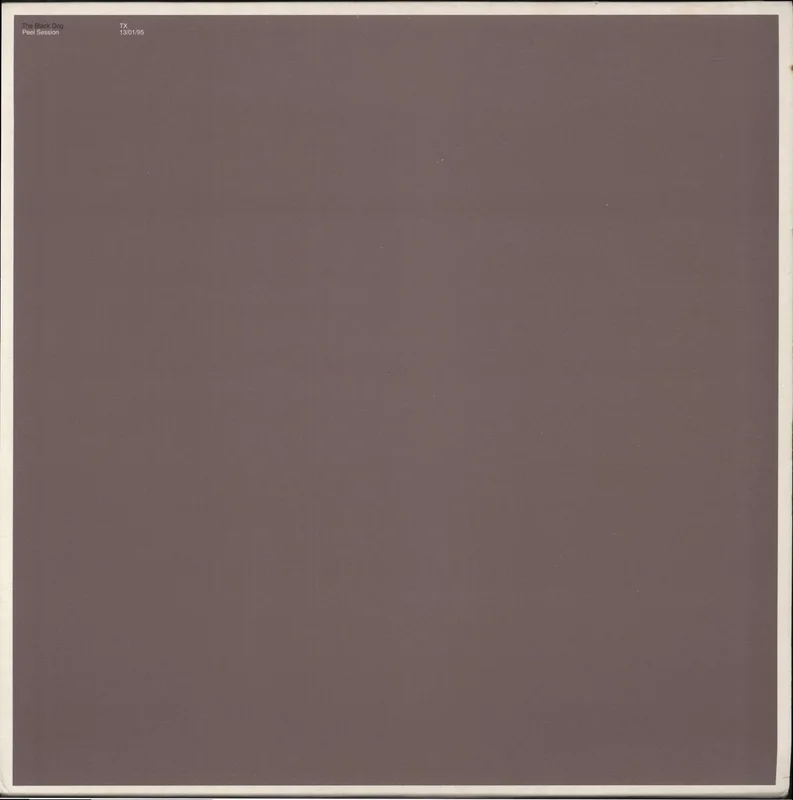 The Black Dog Peel Session UK 12" vinyl