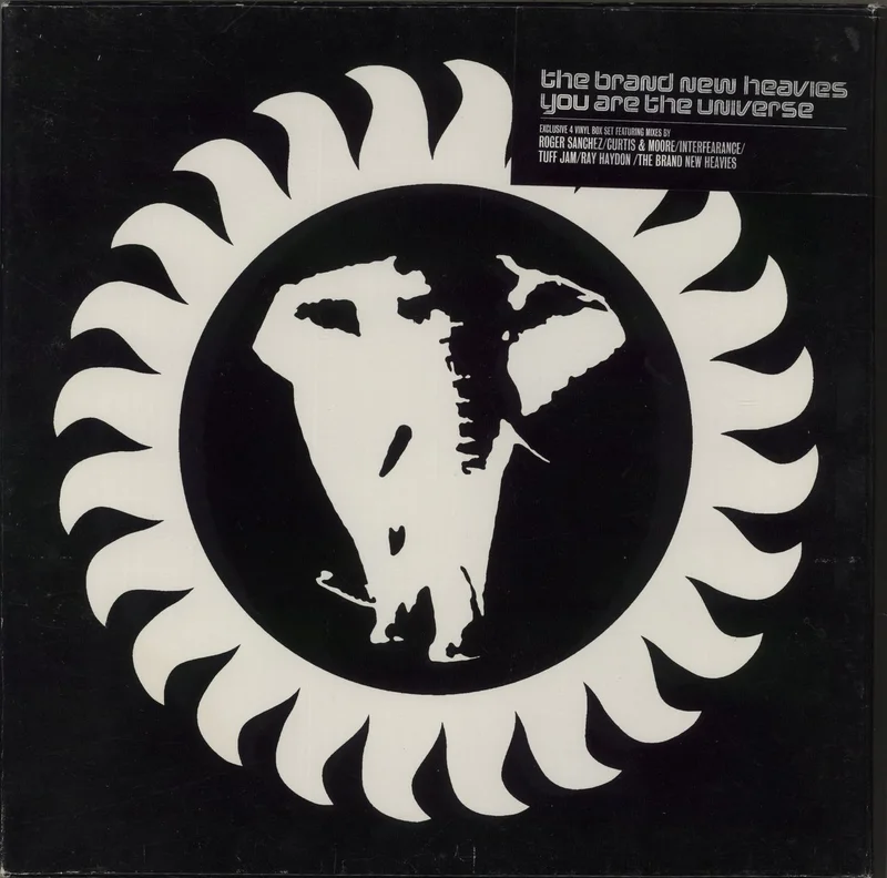 The Brand New Heavies You Are The Universe UK Vinyl box set