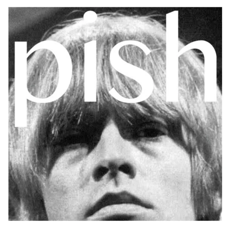 The Brian Jonestown Massacre  Mini Album Thingy Wingy