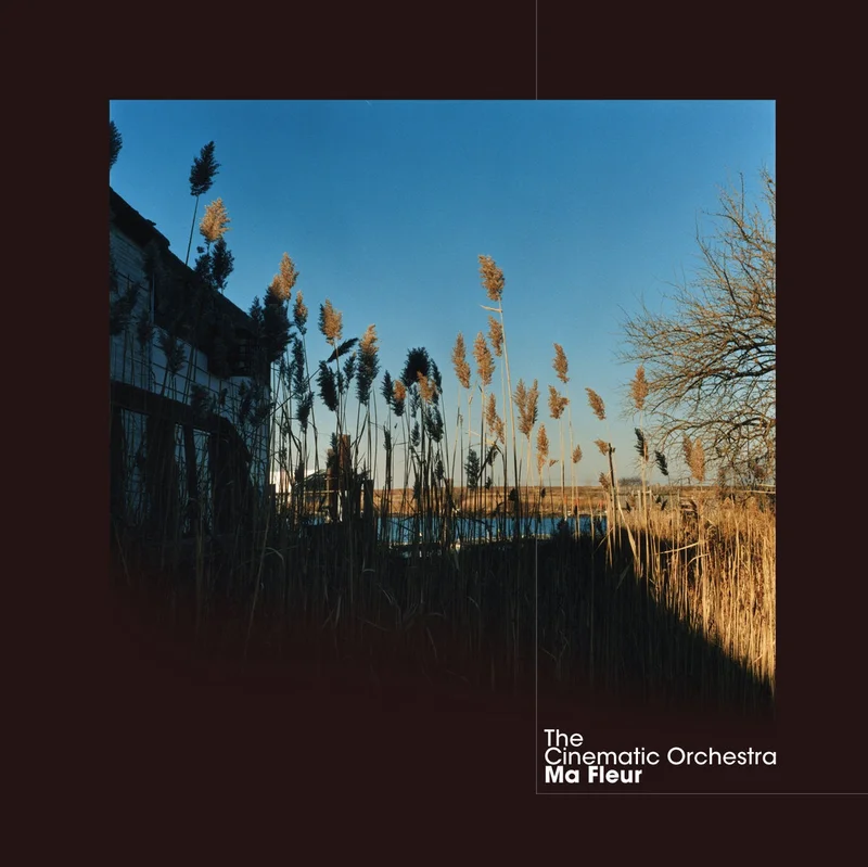 The Cinematic Orchestra Ma Fleur (2021 Reissue, Clear Vinyl)