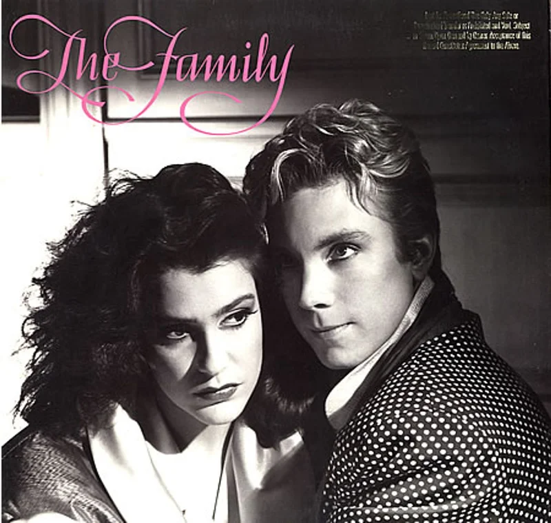 The Family The Family US Vinyl LP
