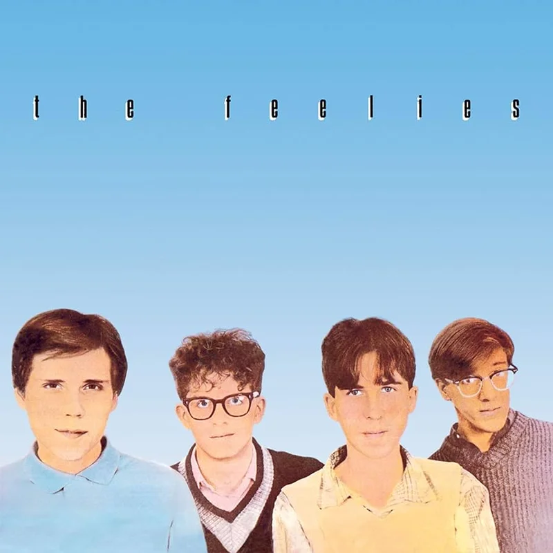The Feelies  Crazy Rhythms