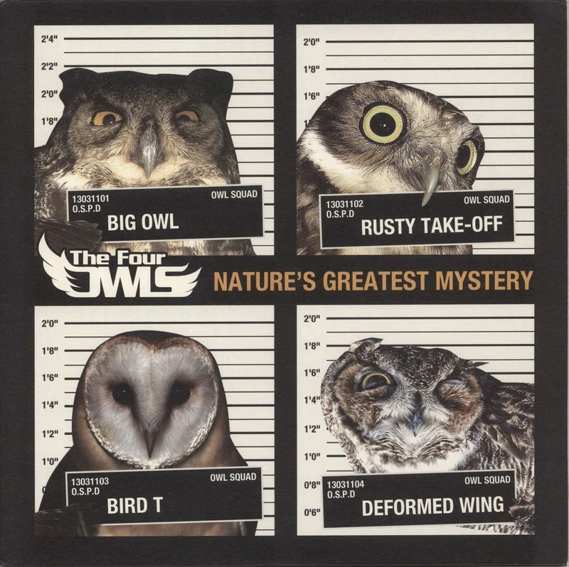 The Four Owls Nature's Greatest Mystery - Yellow Splatter Vinyl UK 2-LP vinyl set