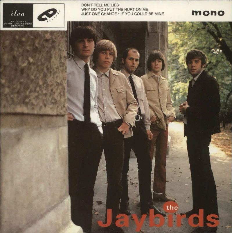 The Jaybirds (90S) Don't Tell Me Lies UK 7" vinyl