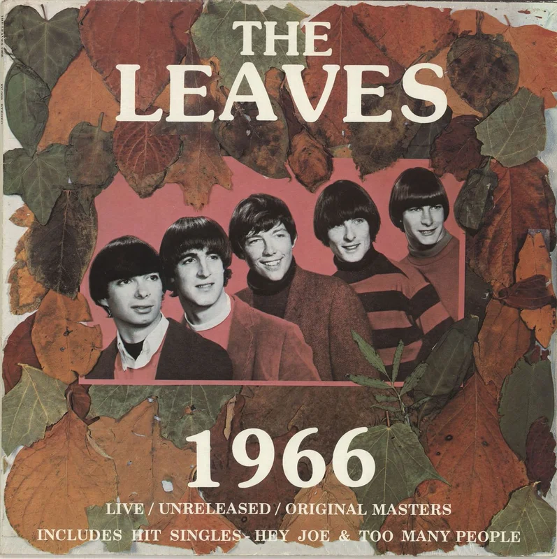 The Leaves 1966 (Nineteen Sixty Six) French Vinyl LP