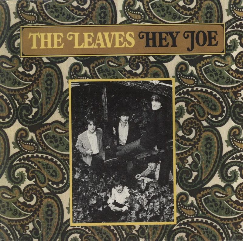 The Leaves Hey Joe German Vinyl LP