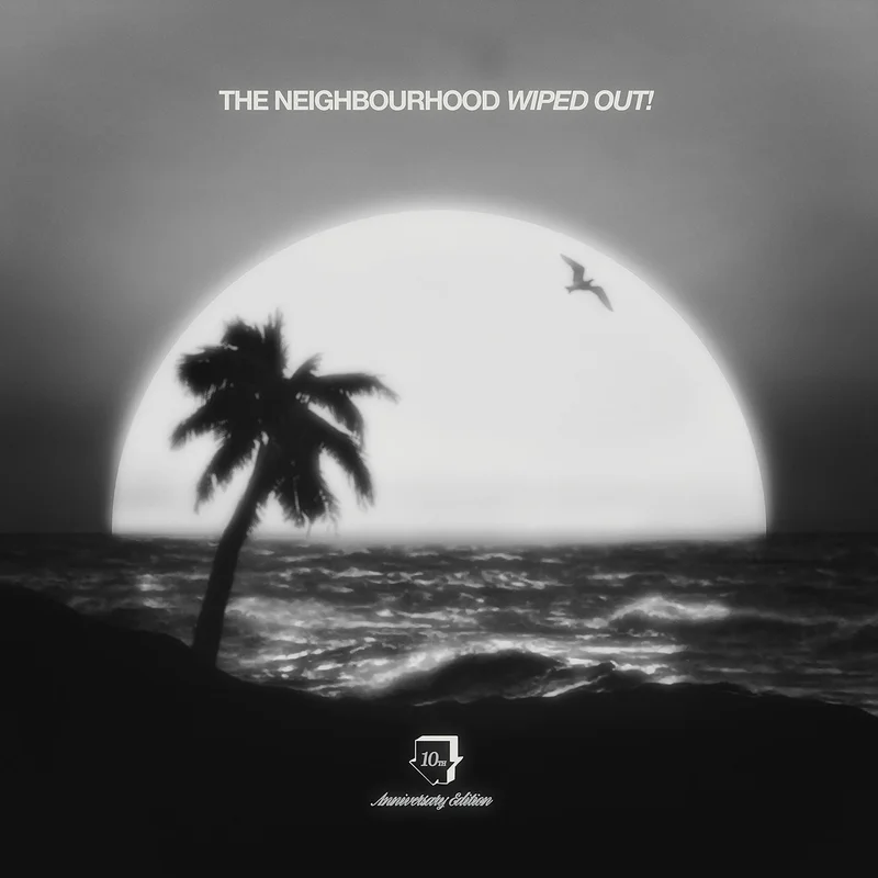 The Neighbourhood Wiped Out! (2xLP, 10th Anniversary Expanded Edition)