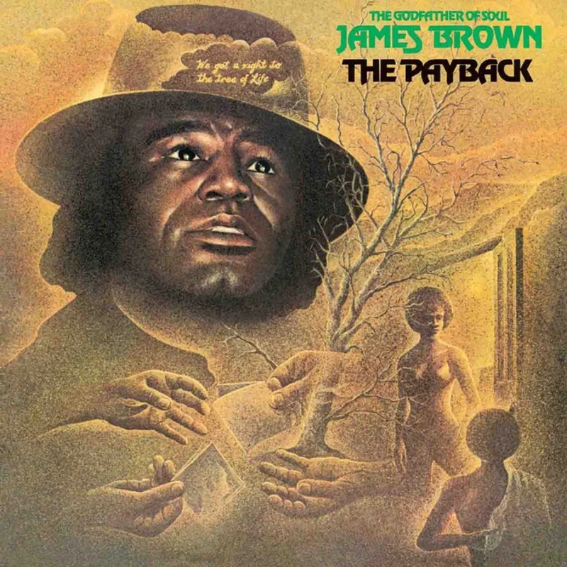 The Payback James Brown (2xLP)