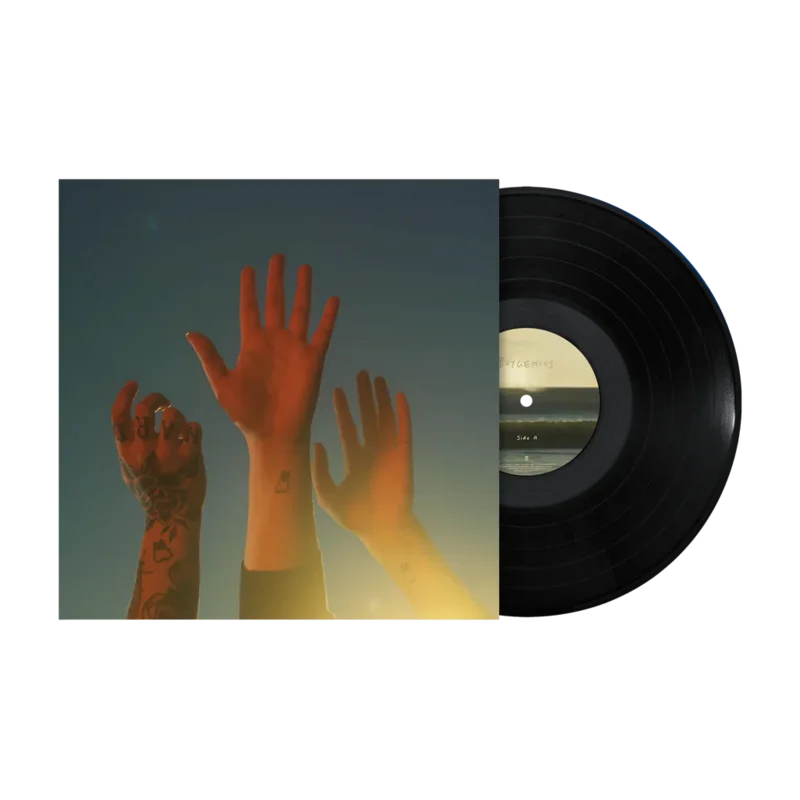 the record vinyl lp [black vinyl]