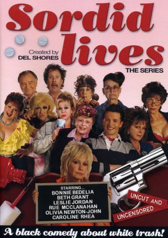 THE SERIES - DVD