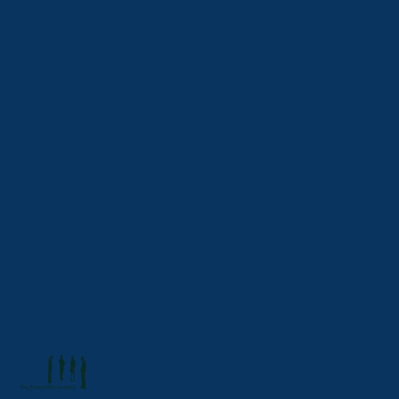 The Seven Mile Journey  Templates for Mimesis [2xLP]