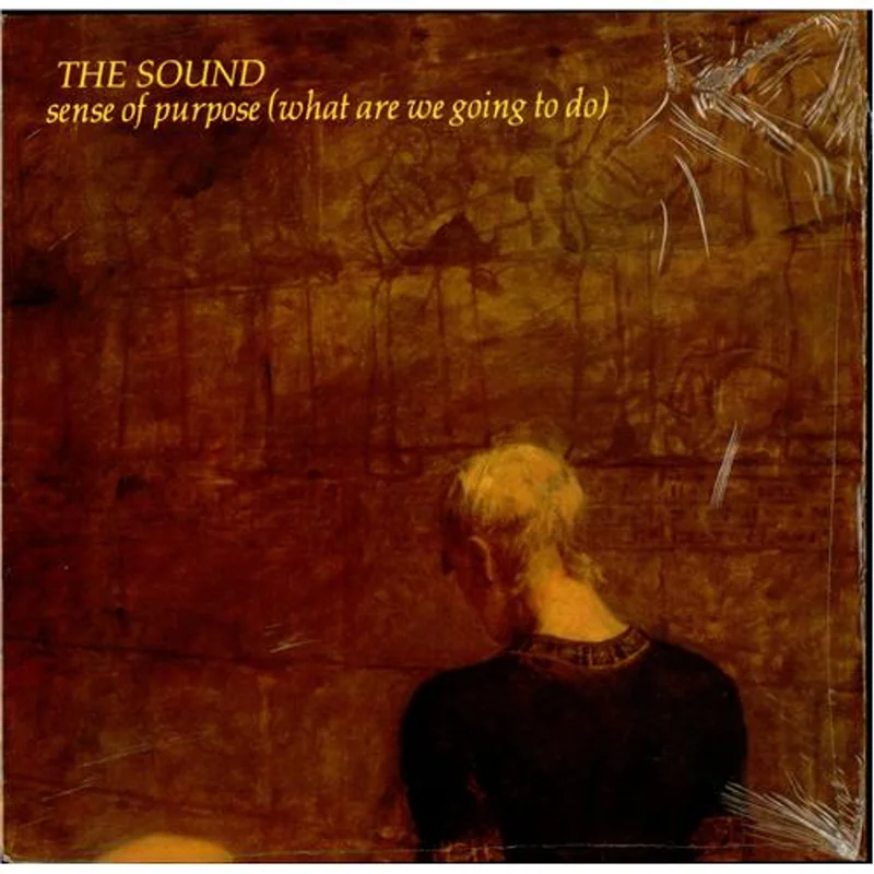 The Sound Sense Of Purpose (What Are We Going To Do) UK 12" vinyl