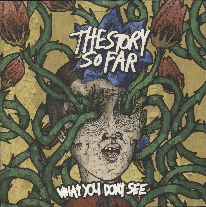 The Story So Far What You Don't See UK Vinyl LP