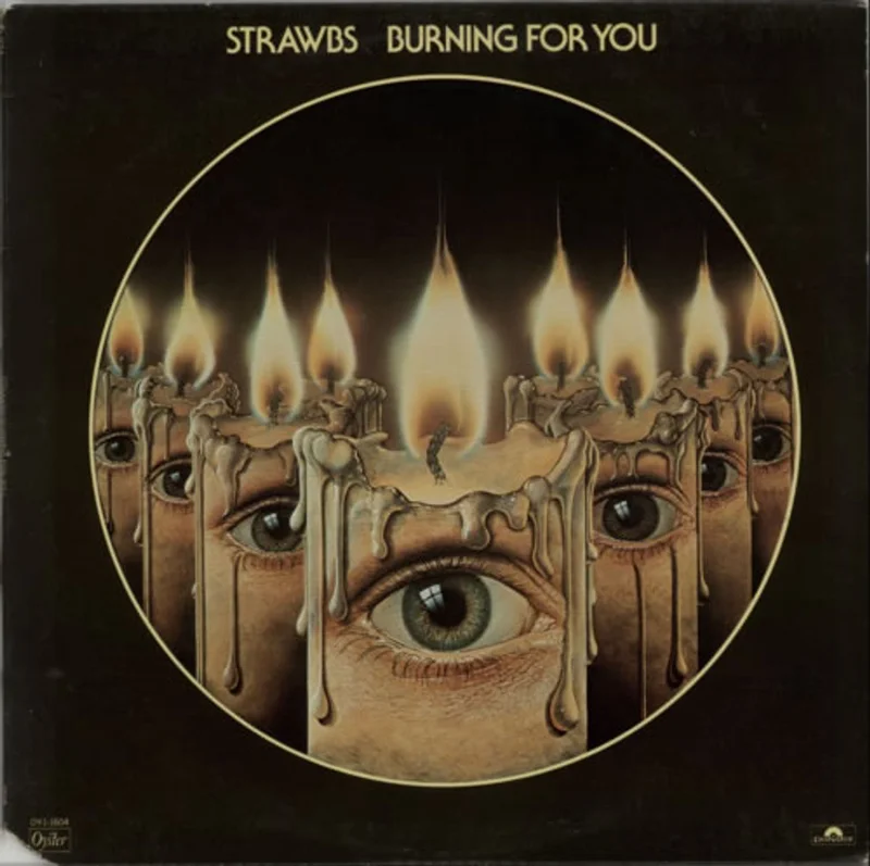 The Strawbs Burning For You US Vinyl LP