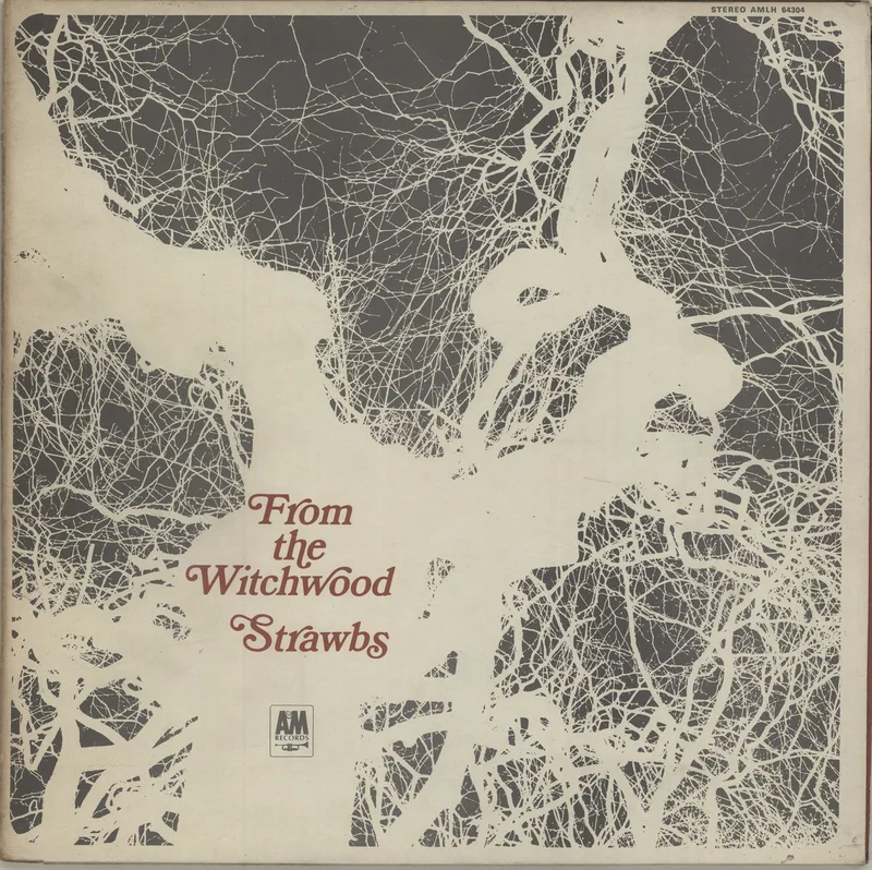 The Strawbs From The Witchwood - 1st - VG UK Vinyl LP