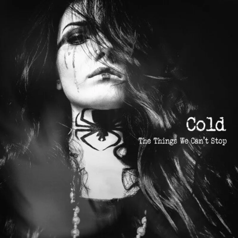 THE THINGS WE CAN'T STOP - VINYL