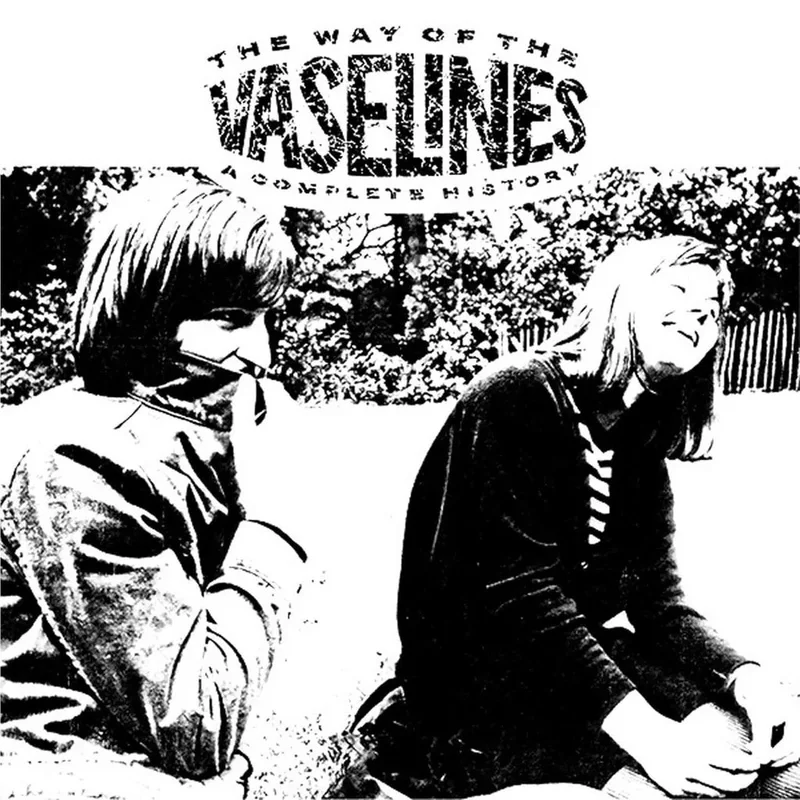 The Vaselines The Way Of The Vaselines - A Complete History (2xLP)