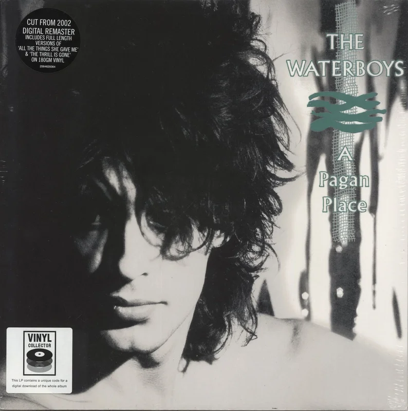 The Waterboys A Pagan Place UK Vinyl LP