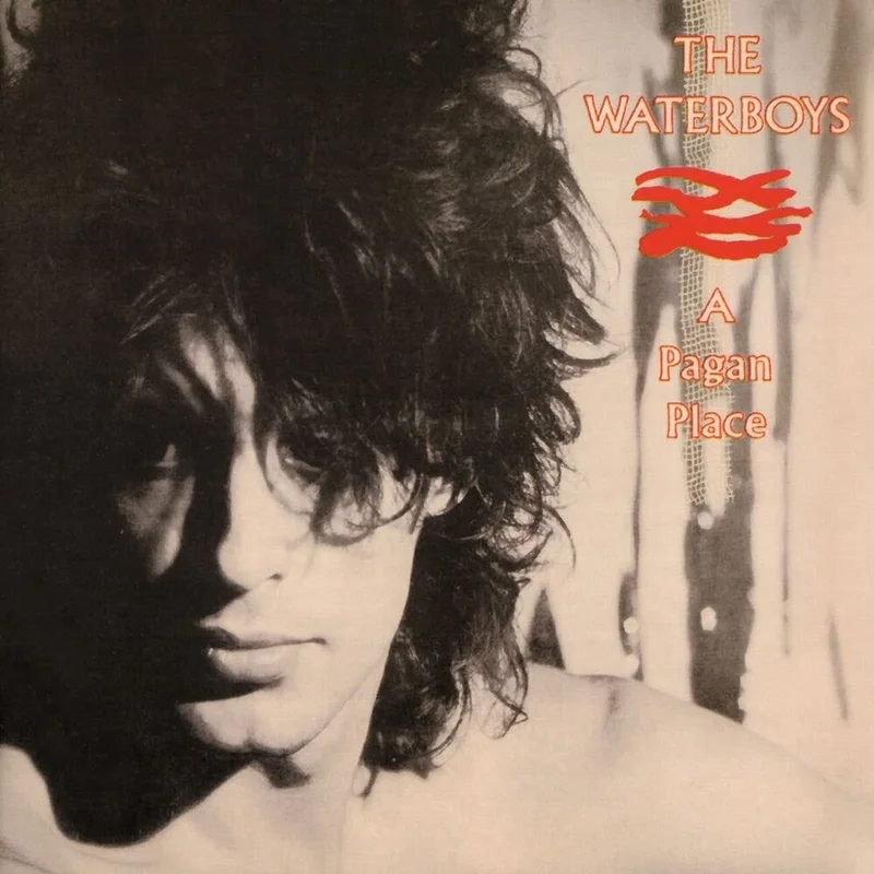 The Waterboys - Pagan Place [CD]
