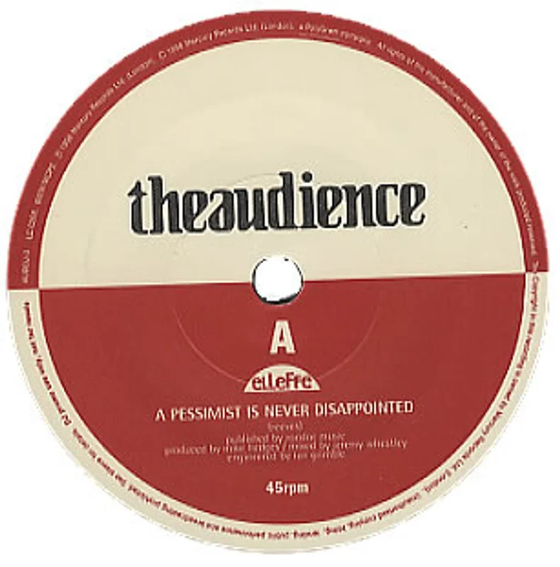 Theaudience A Pessimist Is Never Disappointed UK Promo 7" vinyl