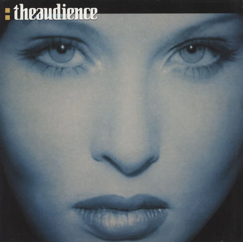 Theaudience TheAudience - Black Vinyl UK 2-LP vinyl set