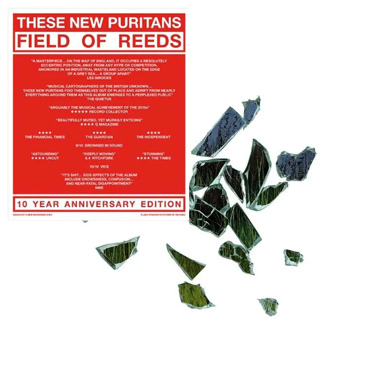 These New Puritans Field Of Reeds (2xLP)