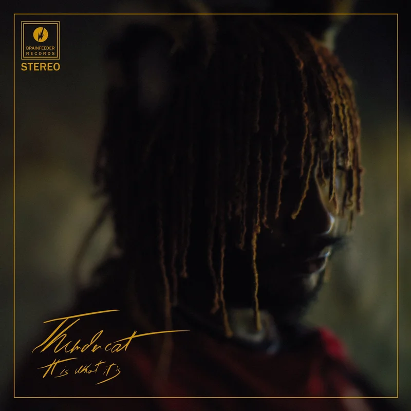 Thundercat - It is What It Is