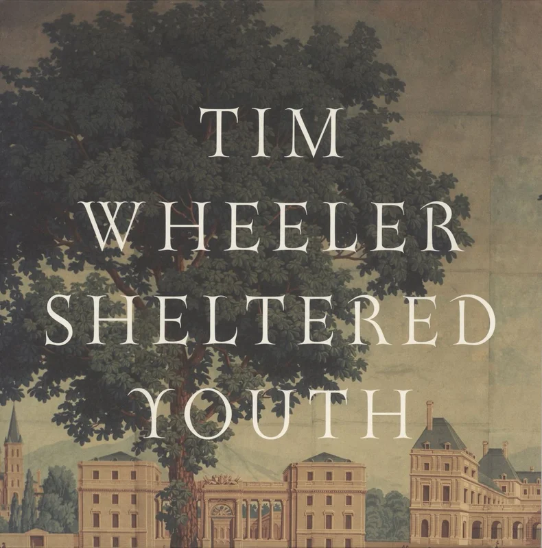 Tim Wheeler Sheltered Youth UK 10" vinyl