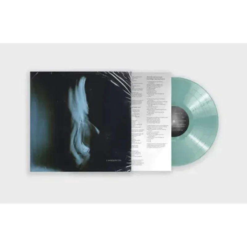 Tom Odell - A Wonderful Life - Indie LP