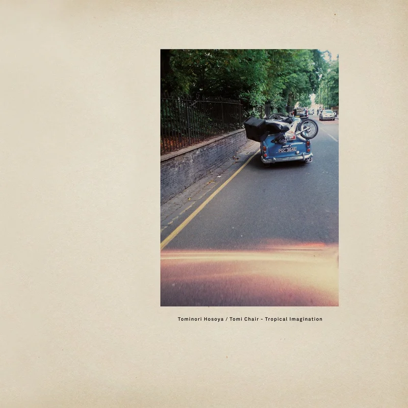 Tominori Hosoya & Tami Chair - Tropical Imagination