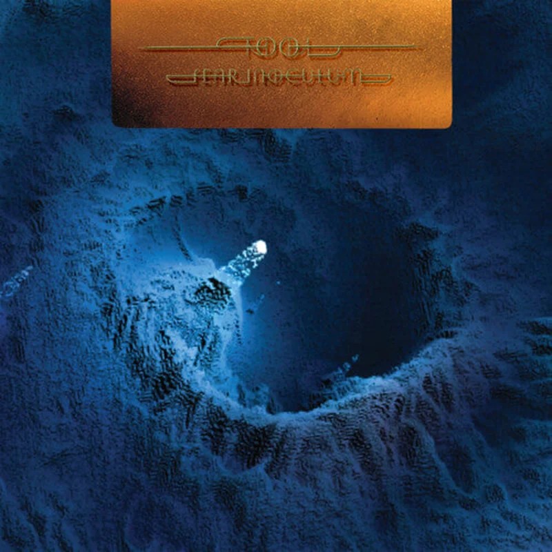Tool  Fear Inoculum (5-LP Set)