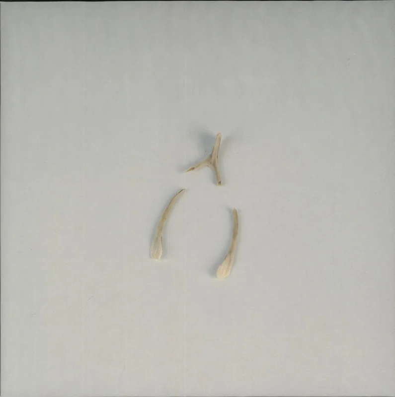 Travis (90s) Valentine UK 10" vinyl