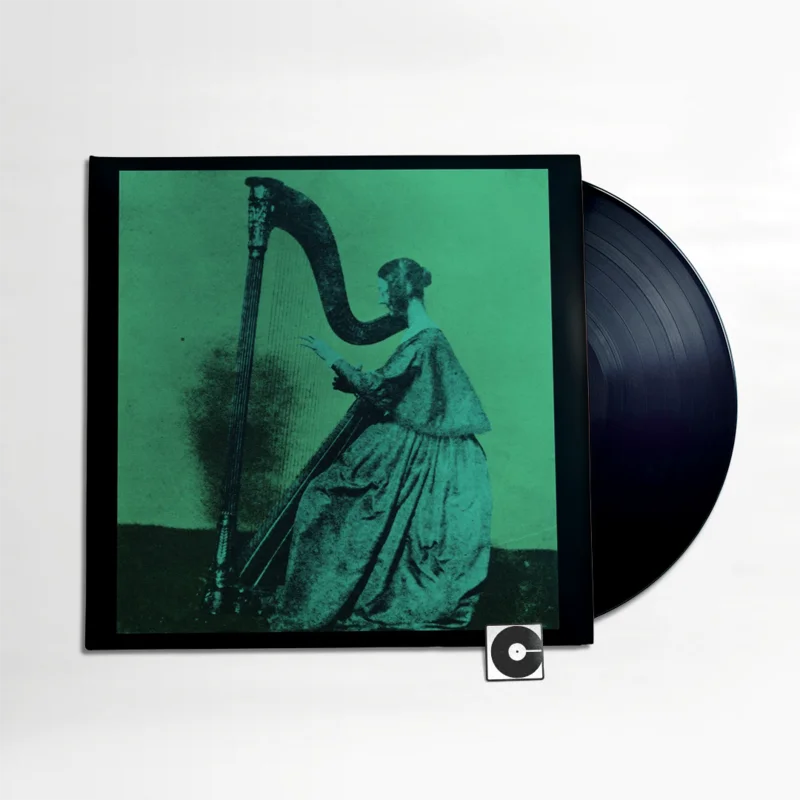 TV Girl - "Grapes Upon The Vine"