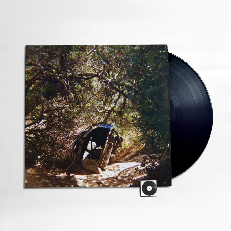 Ty Segall - "Possession"