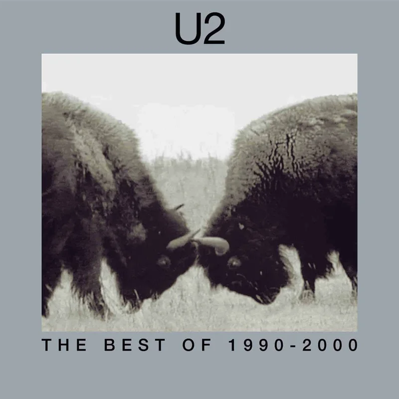 U2  The Best Of 1990-2000 (2-LP)