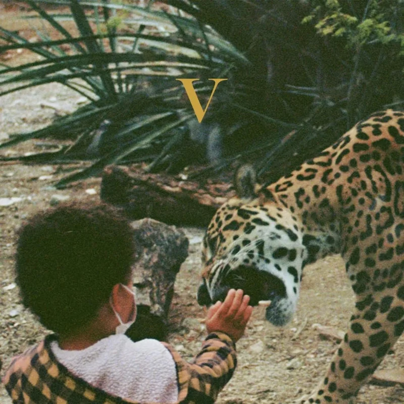 Unknown Mortal Orchestra V (2xLP)