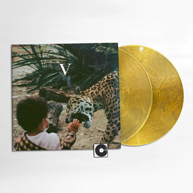 Unknown Mortal Orchestra - "V"