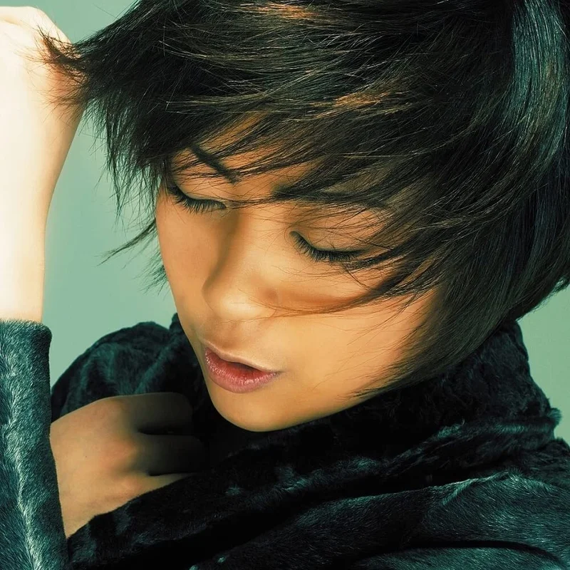 Utada Hikaru Distance (2xLP)