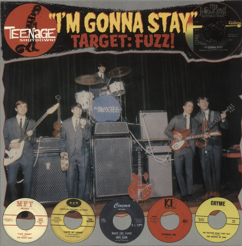 Various-60s & 70s "I'm Gonna Stay" [Target: Fuzz!] US Vinyl LP