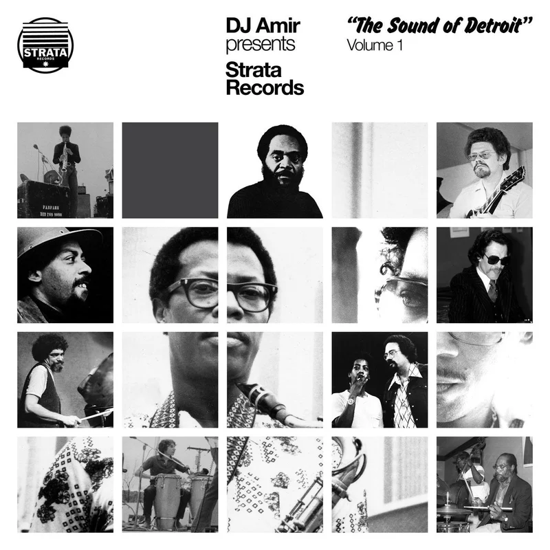 Various Artists -  DJ Amir Presents Strata Records The Sound of Detroit Volume 1